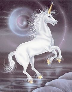 Immagine profilo di unicorno.78